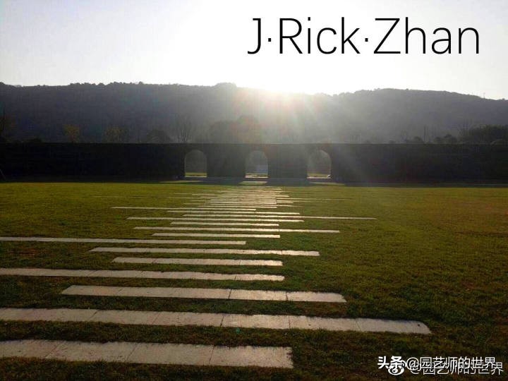 适合北方庭院种植的低矮草坪,家庭庭院怎样混搭种植草坪和蔬菜