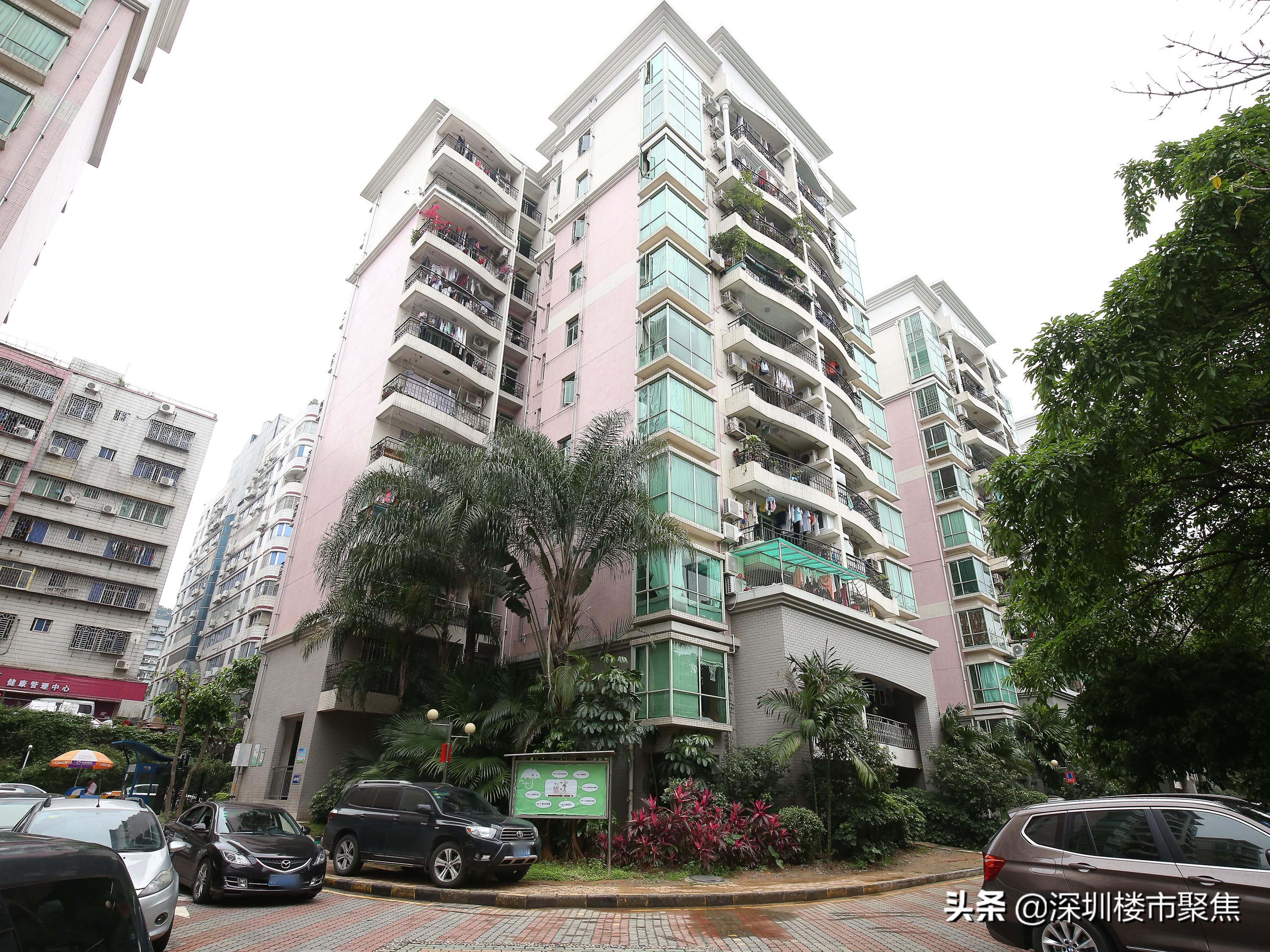 深圳罗湖区有哪些名校,翠园东晓中学在深圳排名