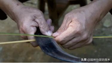 一生一木,一生一木家居