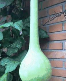 谁这么缺德原版,谁这么缺德原版视频