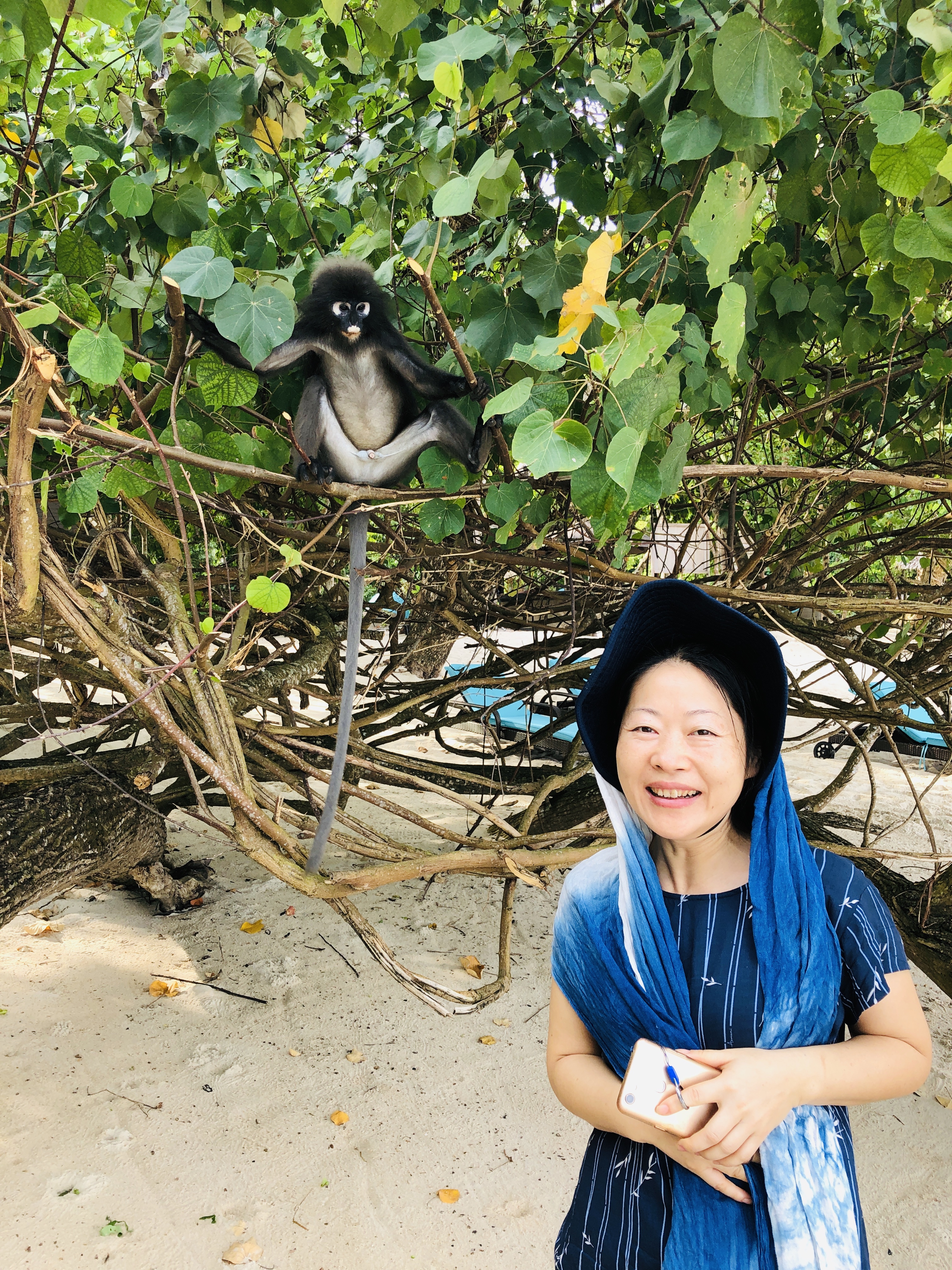 20190125-0206新加坡+马来西亚自助游