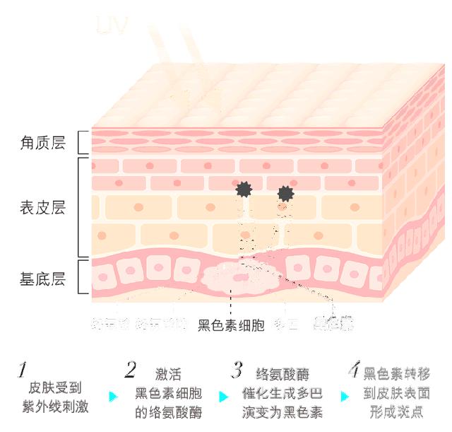 为什么用了美白精华还是黑,为什么用了这么多美白产品白不了