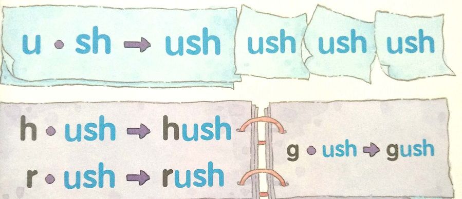 别再被英文培训班误导了，这才是真正的自然拼读