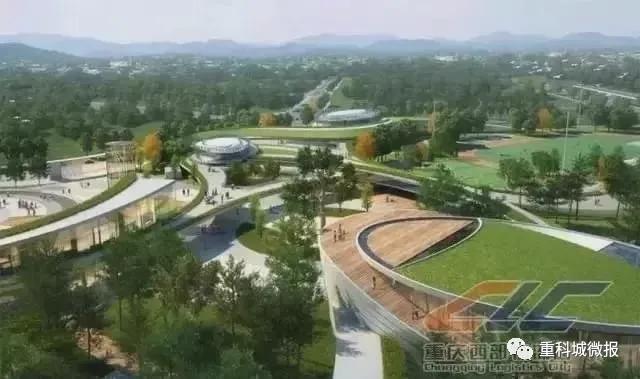 南开中学、南渝中学、树人小学、沙坪坝小学……这些名校扎堆了