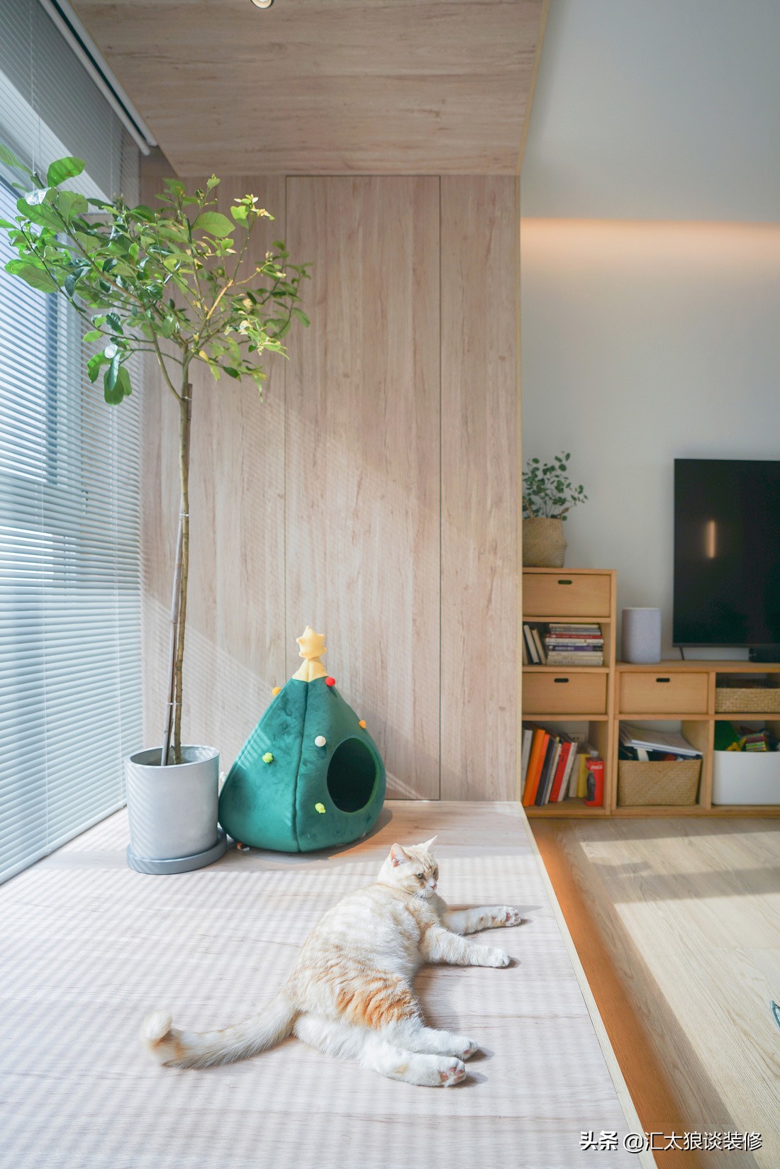 别笑我没出息清唱,别笑我没出息男声