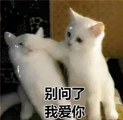 刚背兽新区开荒第四期，百战荣光首月总结