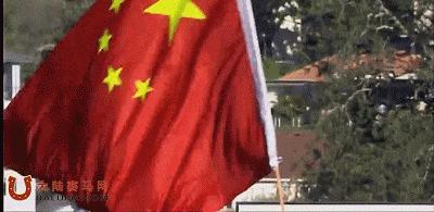 今天是新西兰打吡赛马日，内蒙古莱德马业“蒙古可汗”曾是冠军