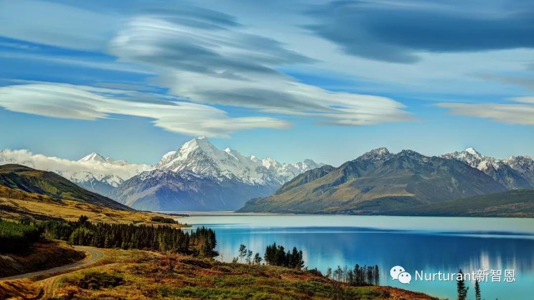 nurturant新智恩,新西兰新智恩营养品