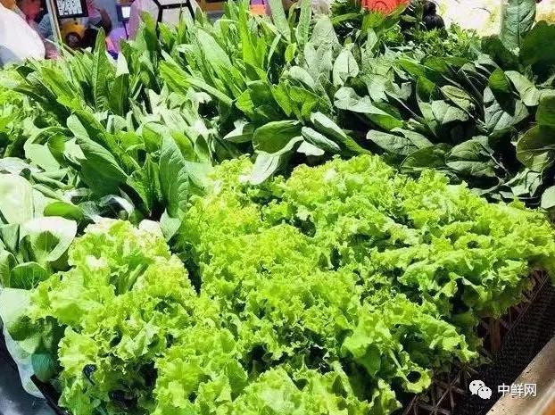 卖蔬菜怎么定价策略,蔬菜定价方法和技巧