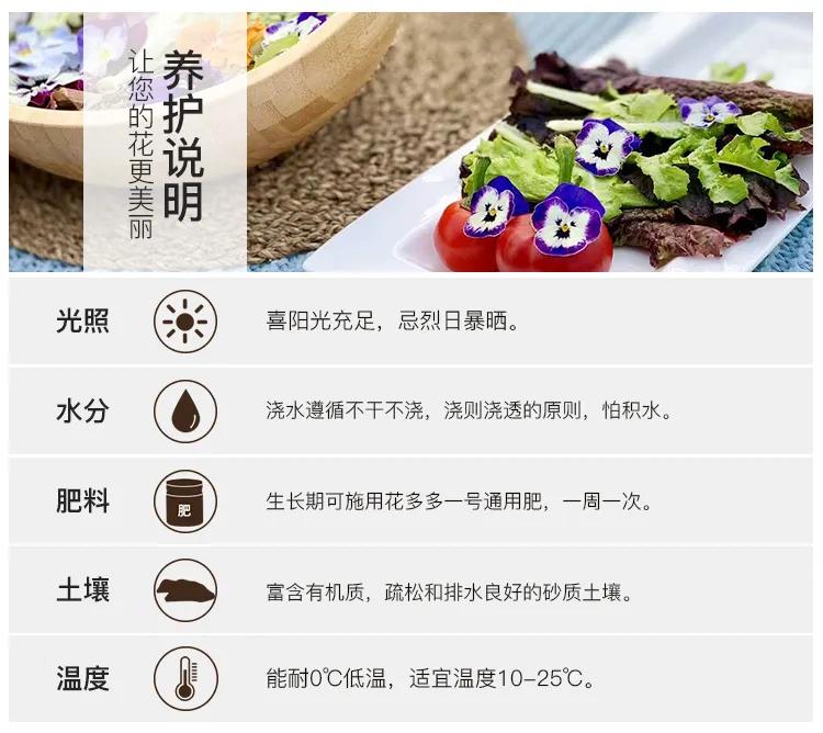 夏季适合做沙拉的蔬菜有哪些,种蔬菜教程阳台