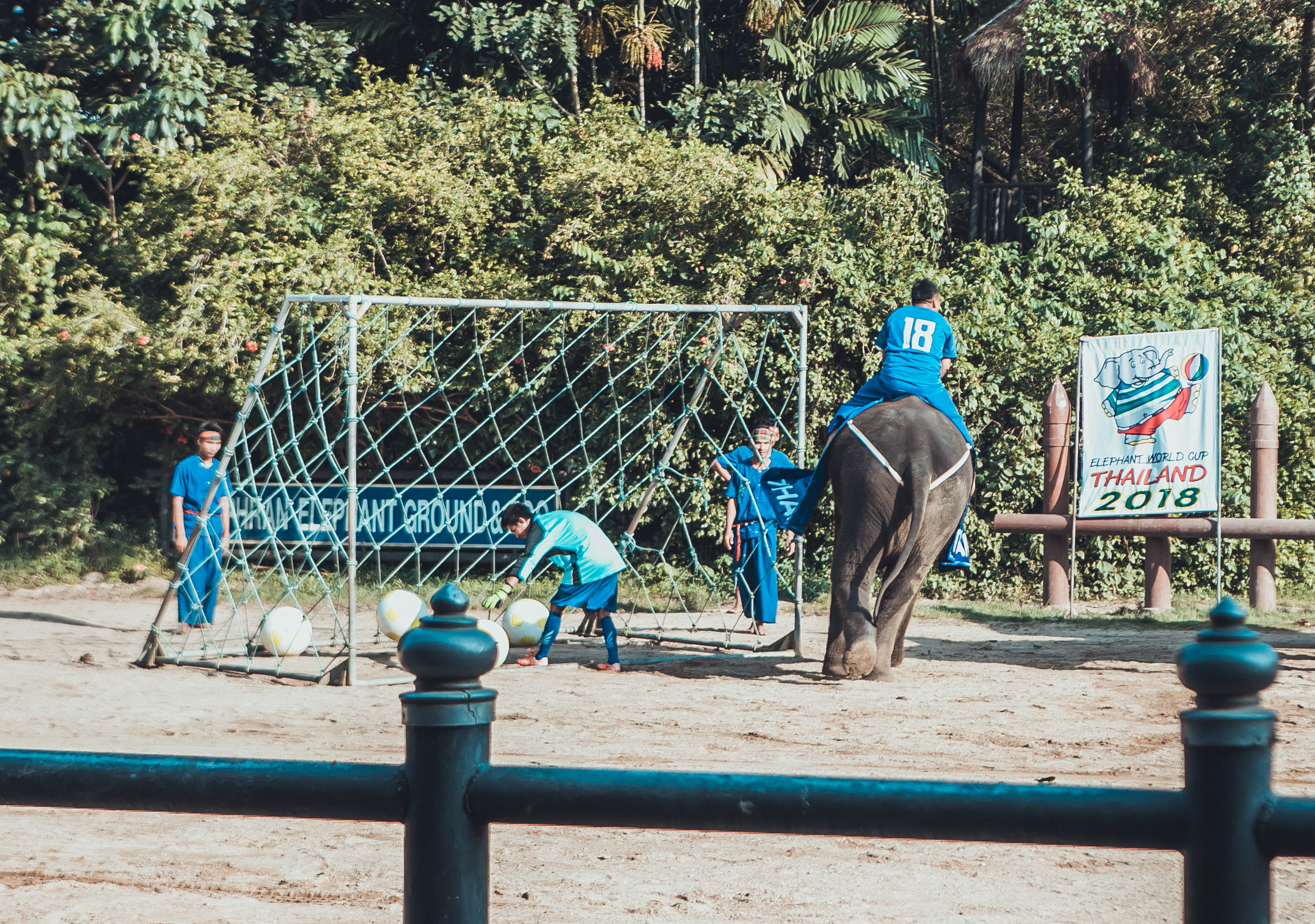 大象在泰国和印度象征着什么,大象是泰国的象征英语