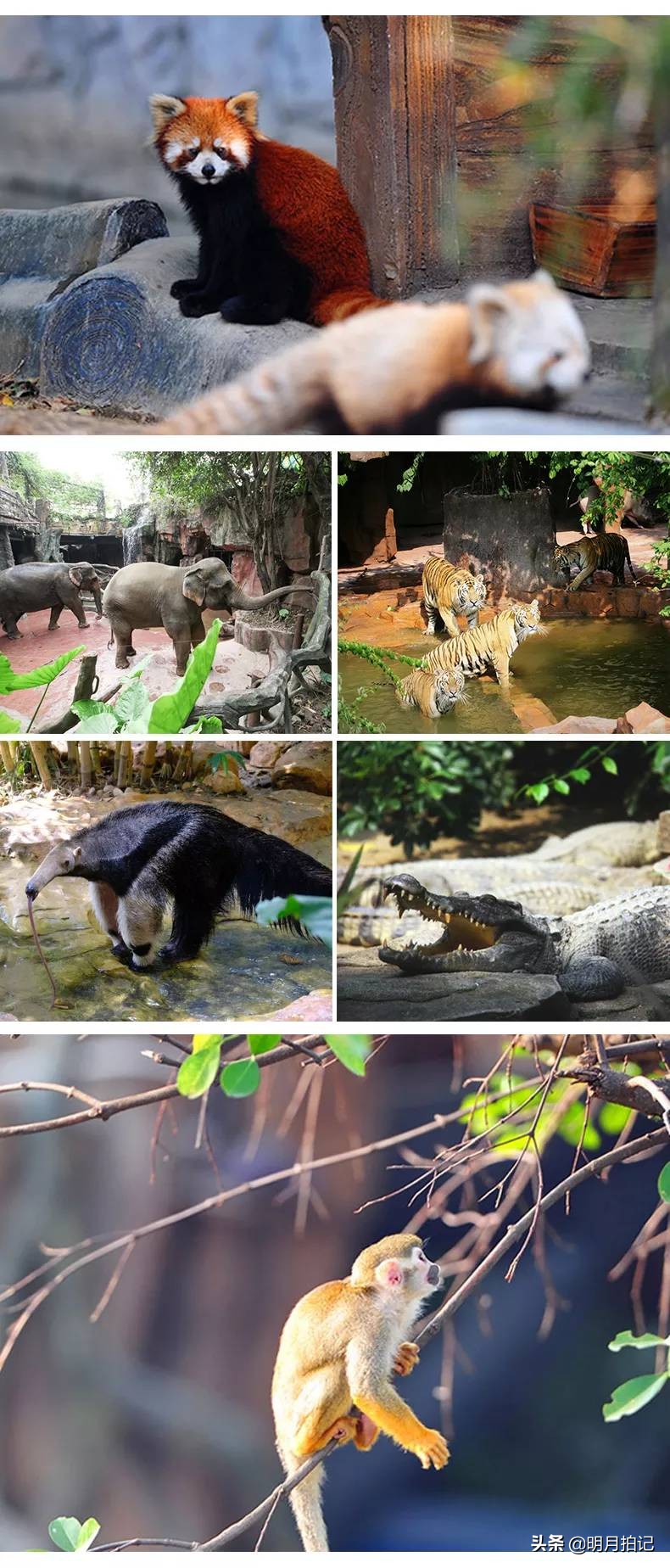 带着家人孩子来休博园，怎么样才能让大家玩得尽兴呢