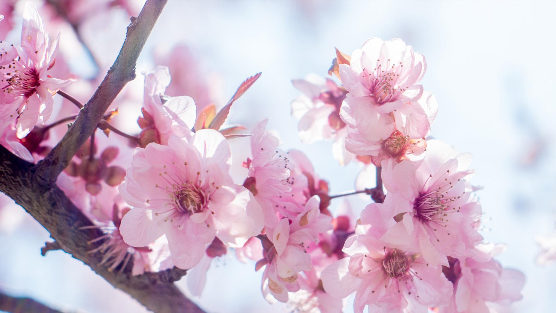 一个人，开始走桃花运，有这三种迹象