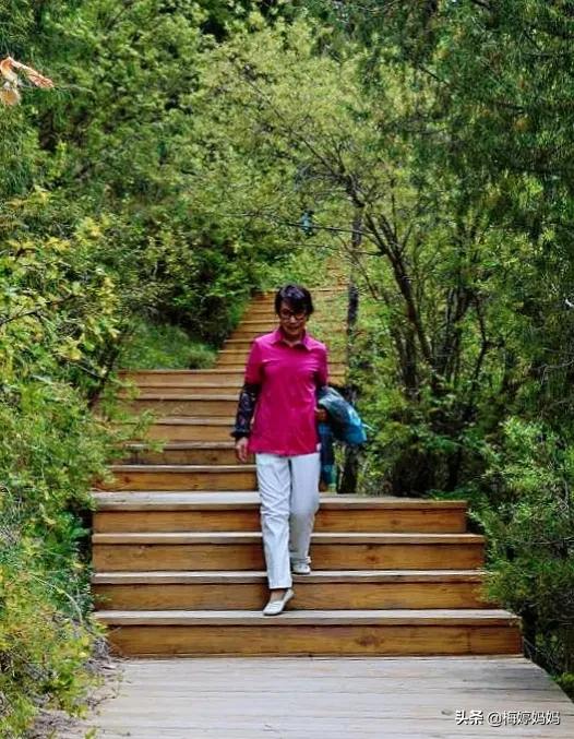 去甘南则岔石林,甘南省则岔石林