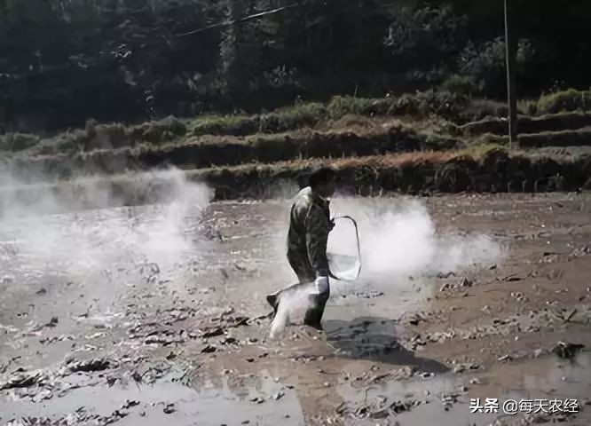 生石灰防治病害,怎样用生石灰给土壤消毒杀菌