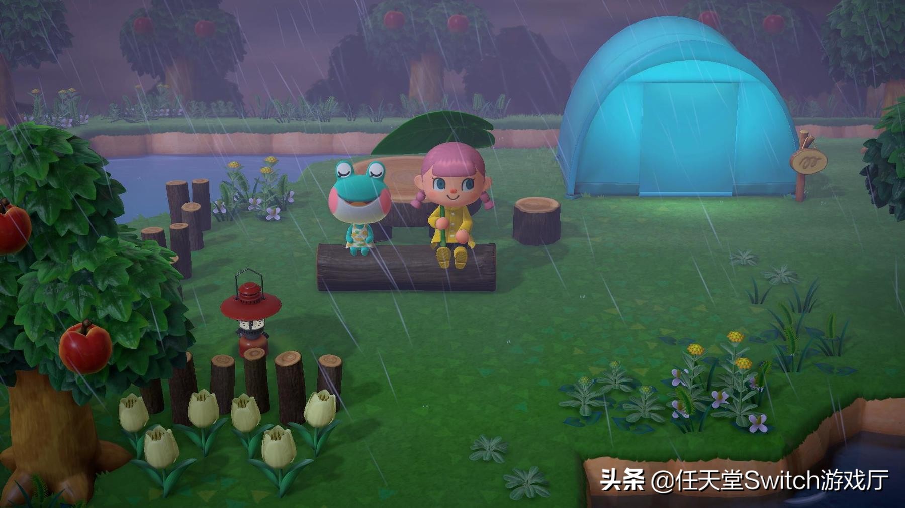 这就是向往的生活综合分析,这就是向往的生活原创视频