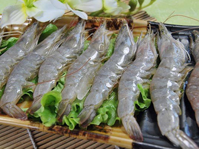 基围虾和明虾是同一种虾吗,基围虾明虾和白对虾哪个好吃