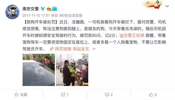 撞死宠物狗属于轻微的交通事故吗,撞死宠物狗交通事故