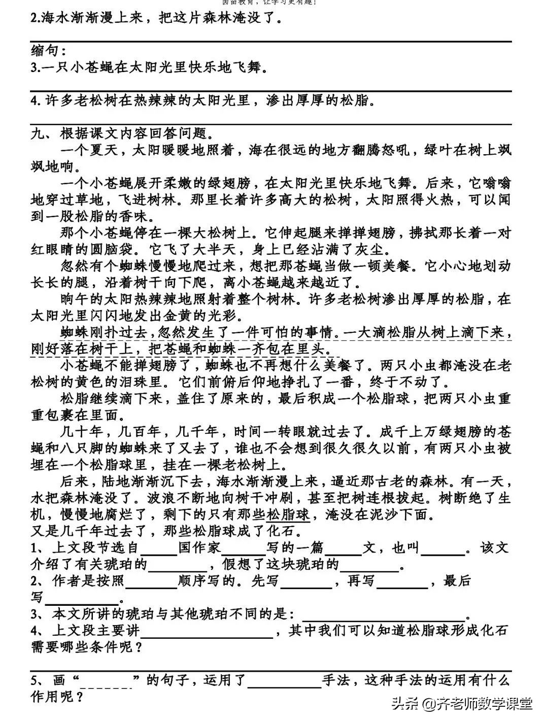 四年级下册语文小练第五课琥珀,部编版四年级下册语文琥珀课时练