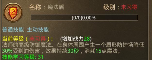 热血传奇战士升级攻略,热血传奇手机攻略大全