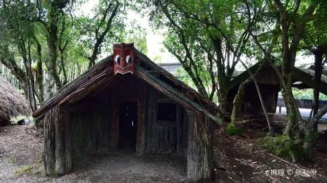 难忘的新西兰之行,在新西兰难忘的日子
