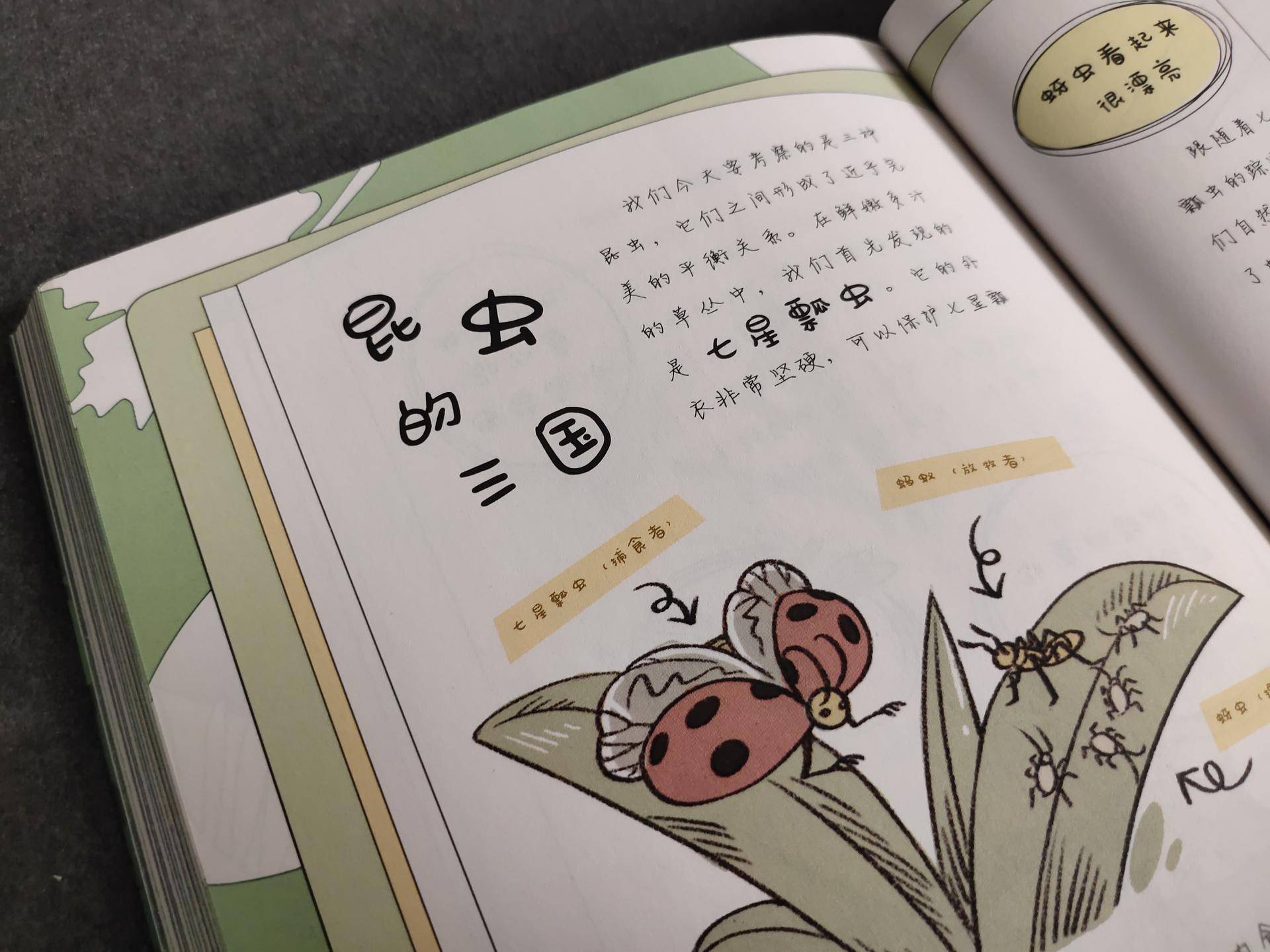 适合陪小孩一起看的书,适合孩子读的童书