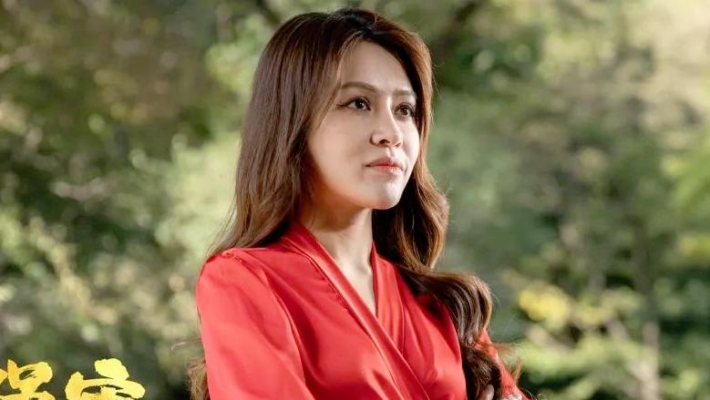 宋晓峰最近电影,宋晓峰新片