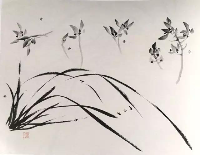 国画兰花绘画图,简单国画兰花画法教程