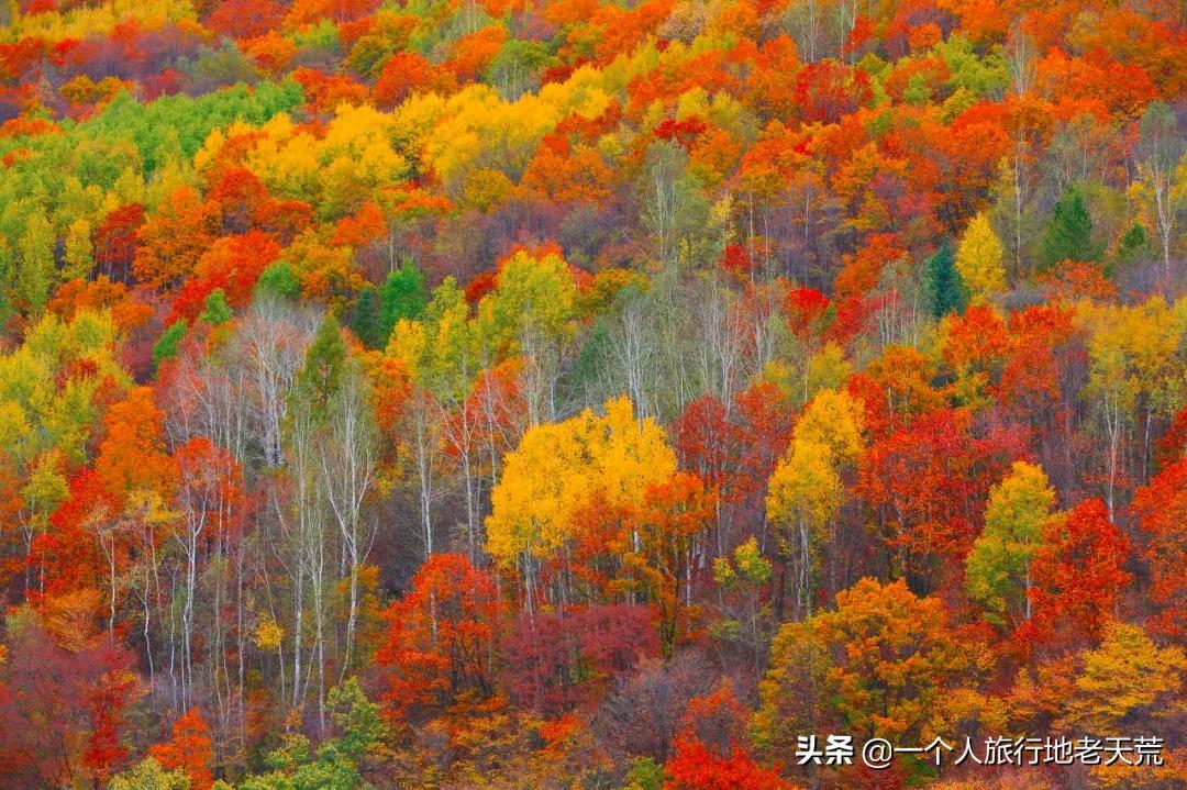 初秋适合去的小众宝藏地,这些宝藏去处你打卡了吗