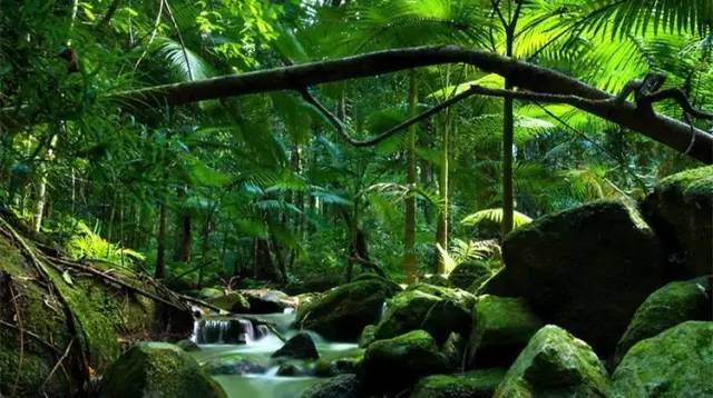 长沙身份证430102,长沙42开头的身份证