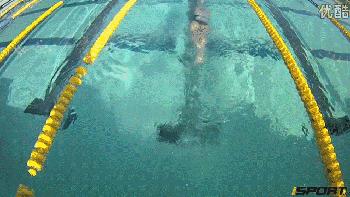 自由泳滚翻转身蹬壁,前滚翻动作练习方法步骤