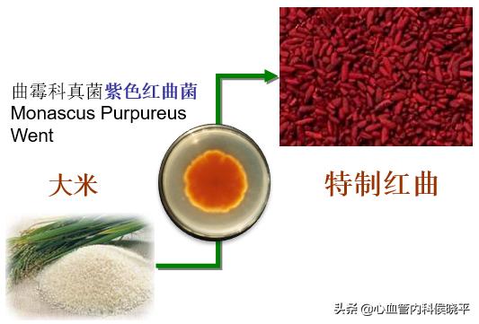 血脂康治疗高胆固醇效果显著,血脂康降低胆固醇的效果咋样