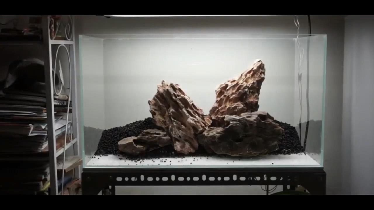 草缸皇冠水草造景,假山草缸水草造景