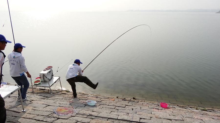 水库钓青鱼手竿线组,5.4手竿钓青鱼怎么调漂