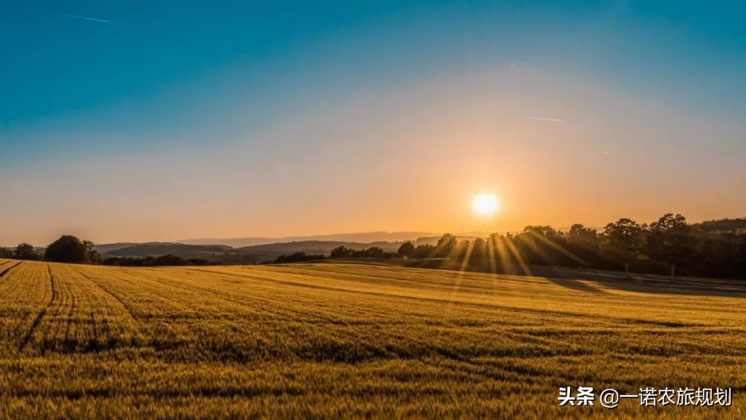 乡村经济未来发展展望,乡村产业未来发展方向