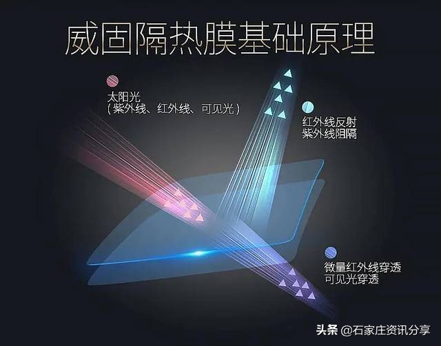 龙膜和威固价格相差多少,龙膜和威固哪个高档