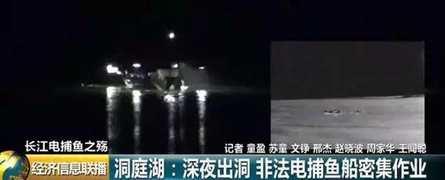 刑法规定的禁止使用捕鱼方法,非法捕鱼为什么屡禁不止