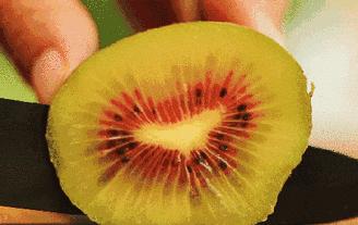 许昌八里沟跟团一日游,许昌五一八里沟一日游