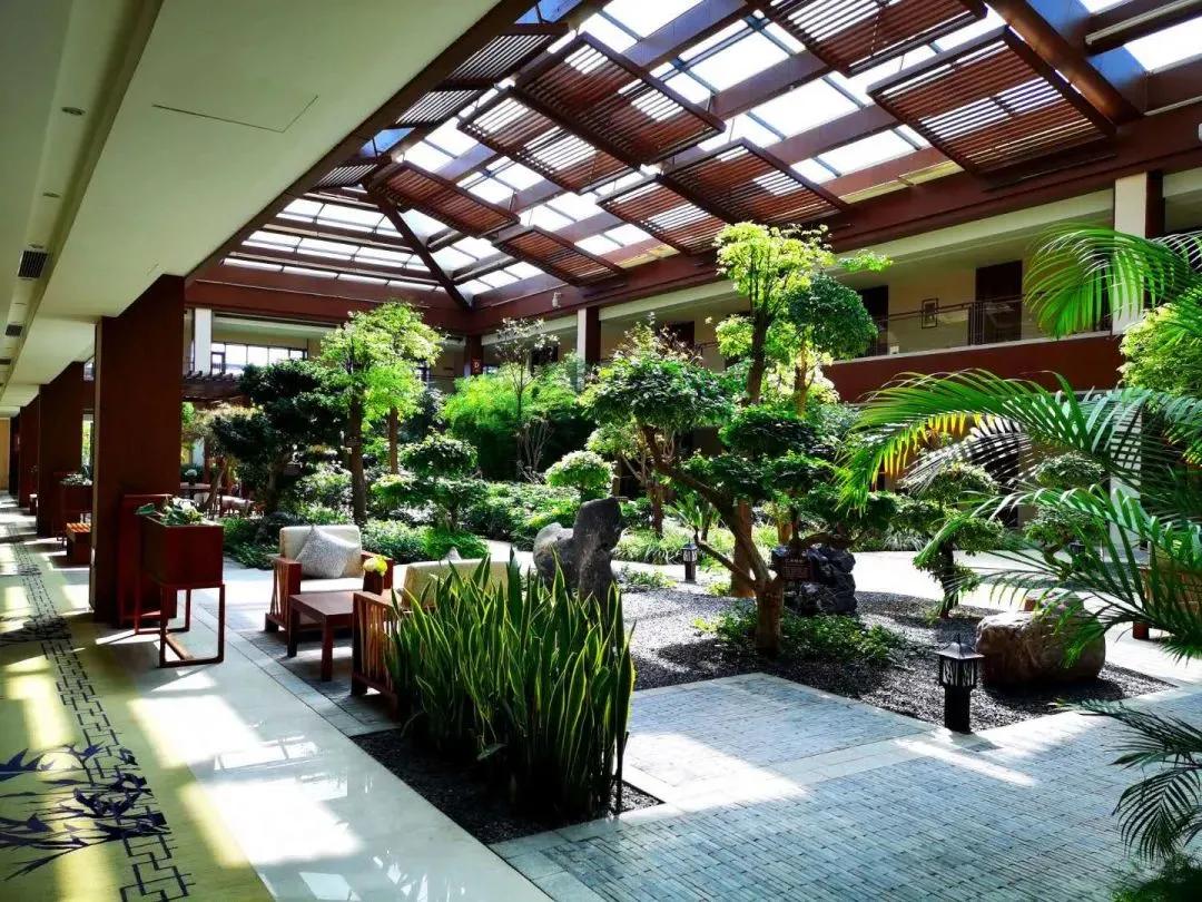 敦煌感受中国之美,东亚文化之都情系敦煌