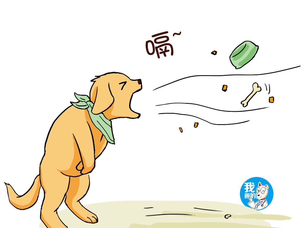 狗狗胀气有什么症状和表现,狗狗胀气的症状及解决方法