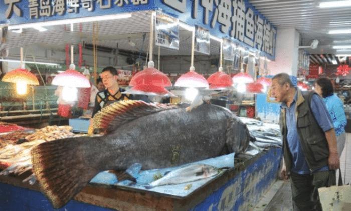 海鲜市场最坑的3种海鲜,菜市场最坑人三种海鲜