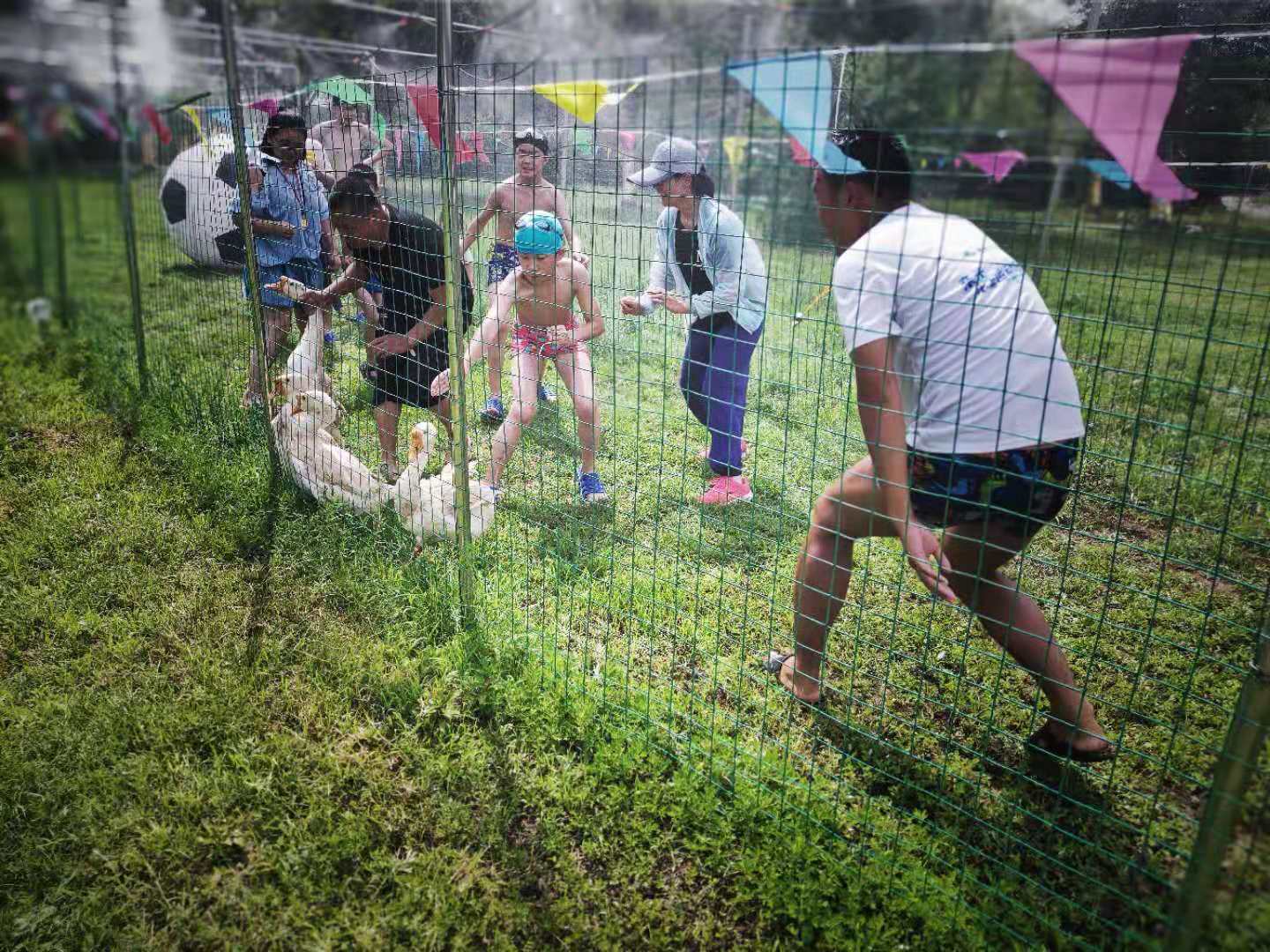 绿源山水一日游,绿源山水有什么好玩的