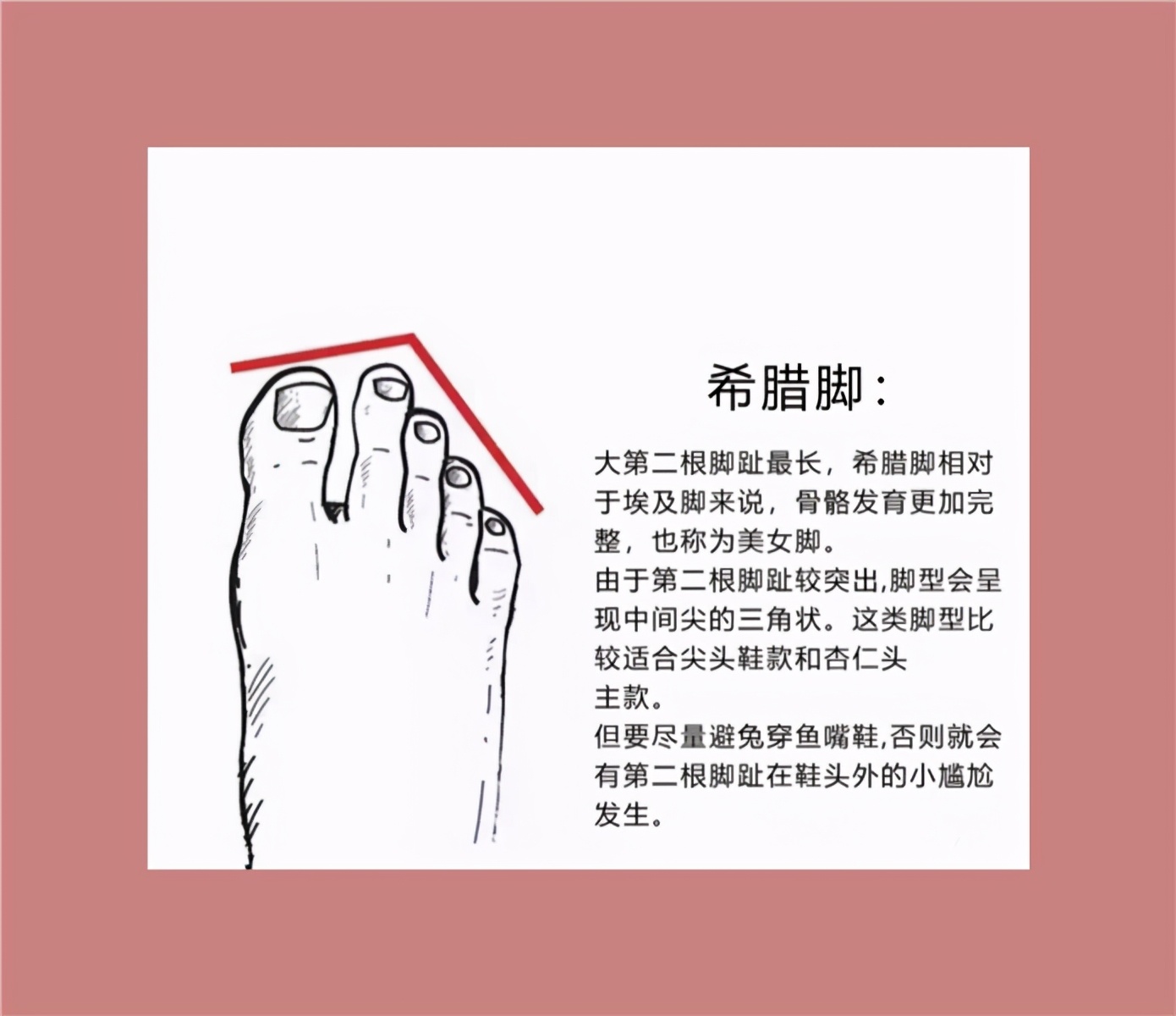 不同脚型适合的鞋子,鞋子不一定要贵只要合脚就行