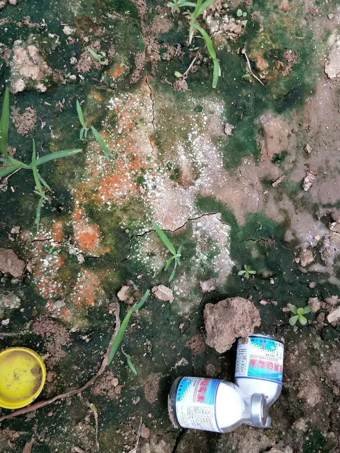 地没劲，根系弱，病害多......这些方法最管用