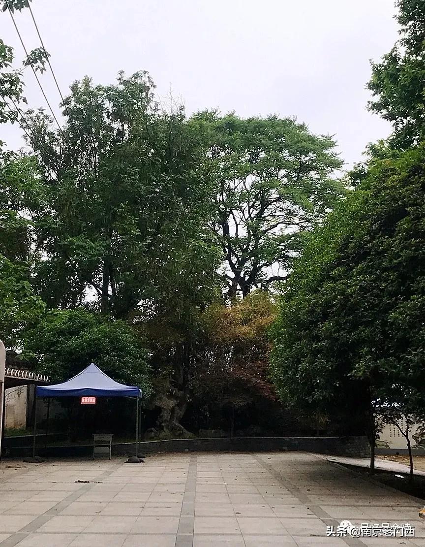 古代诗歌中的门西,王捷