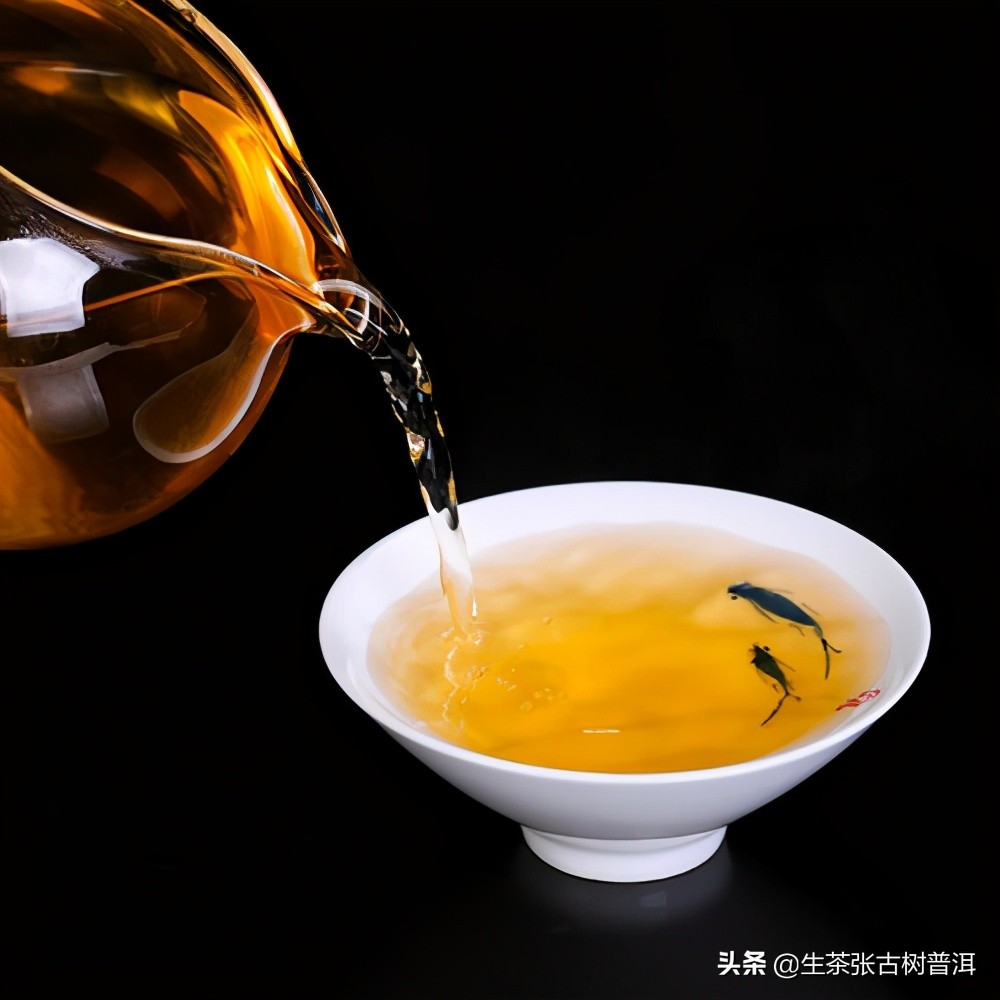 干货分享西双版纳普洱茶茶山行,普洱茶马古道起点