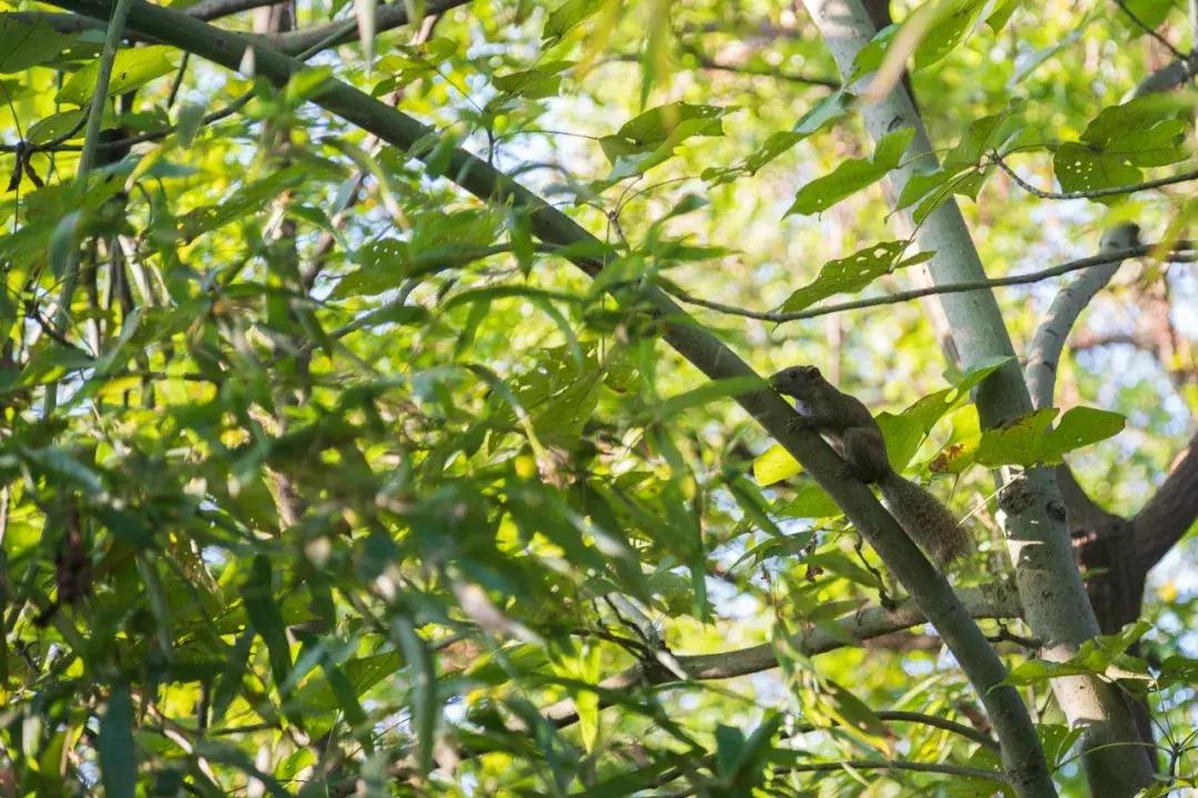 中国最美湿地公园，坐着船入住，皇帝都没机会住的地方你可以！