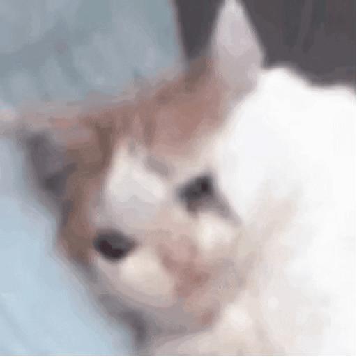 adidas亲友限定,adidas突袭怎么买