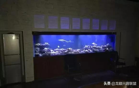 楸肩几濡傛璞皵,楂樼楸肩几椴ㄩ奔