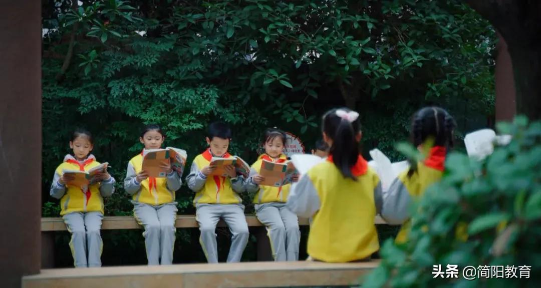 简阳的好初中有哪些,简阳好学校